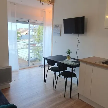 Apartament T2 Avec Grande Terrasse Quartier Jardin Massey Tarbes